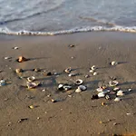 Tranquil Stay Steps From Shore In Bibione